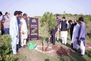 AAA-Associates Initiated 1 lac tree plantation