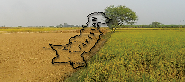 How To Check Property Records Online In Pakistan?